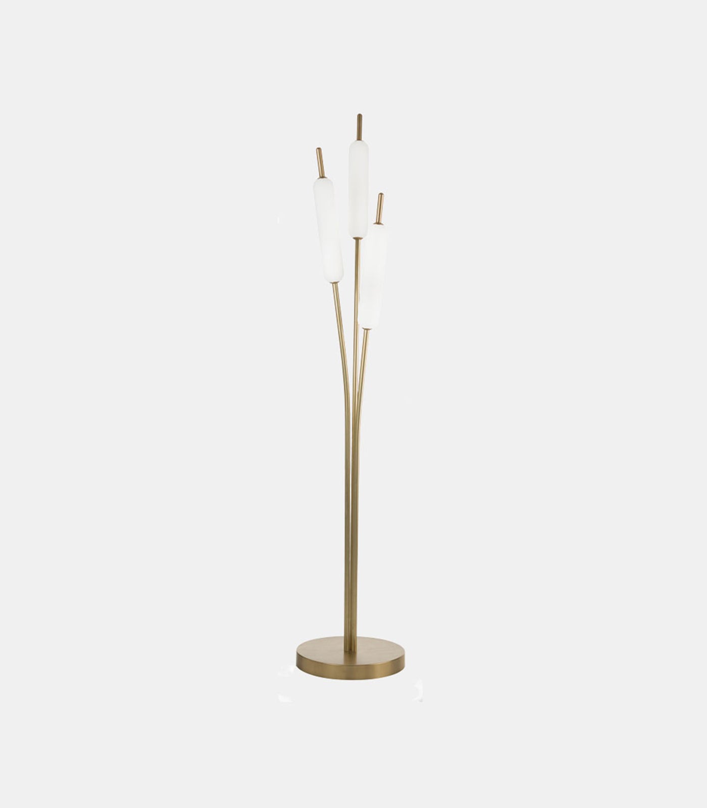 Typha Floor Lamp