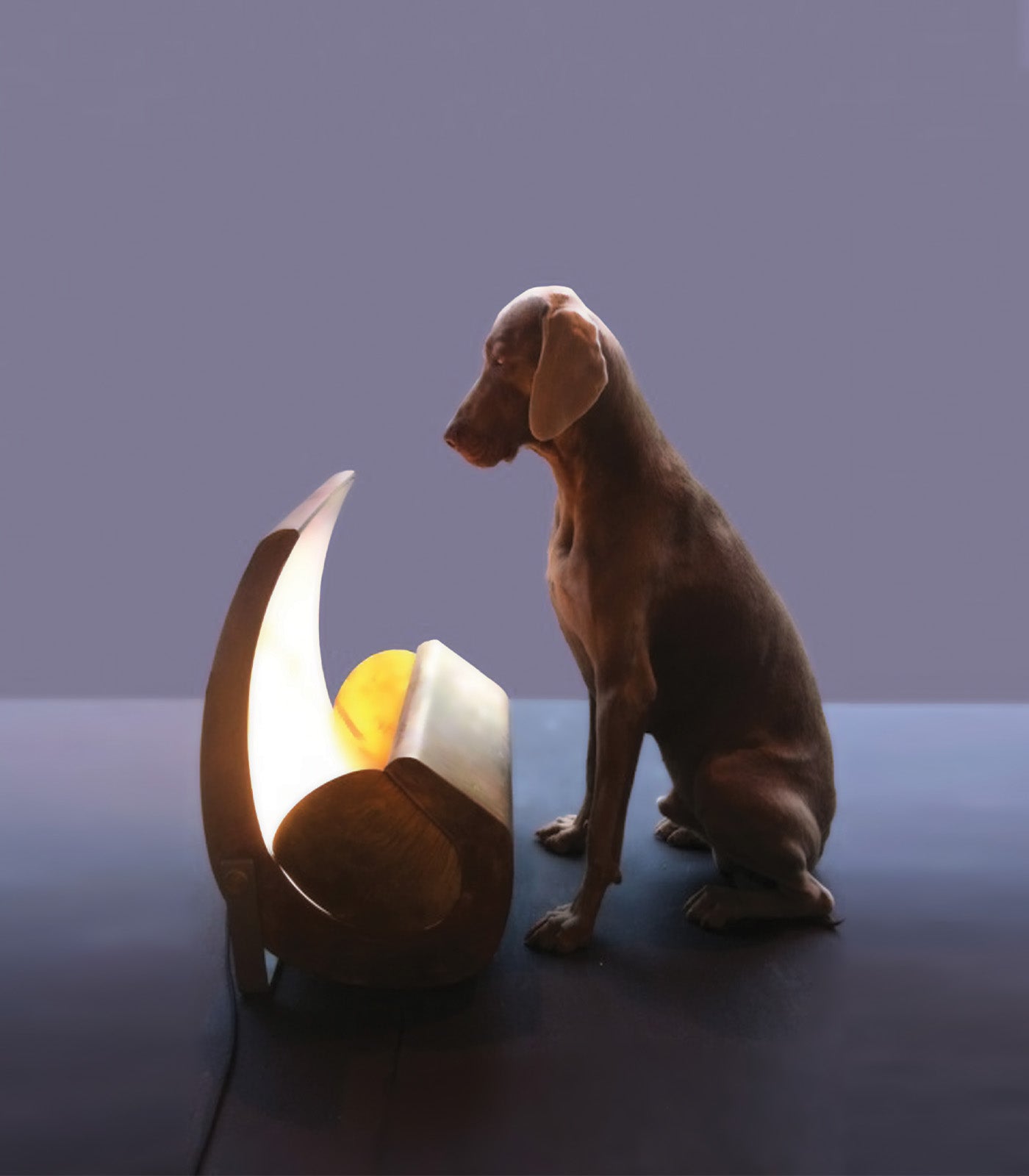 Escargot Floor Lamp
