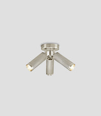 Spot Triple Ceiling Light