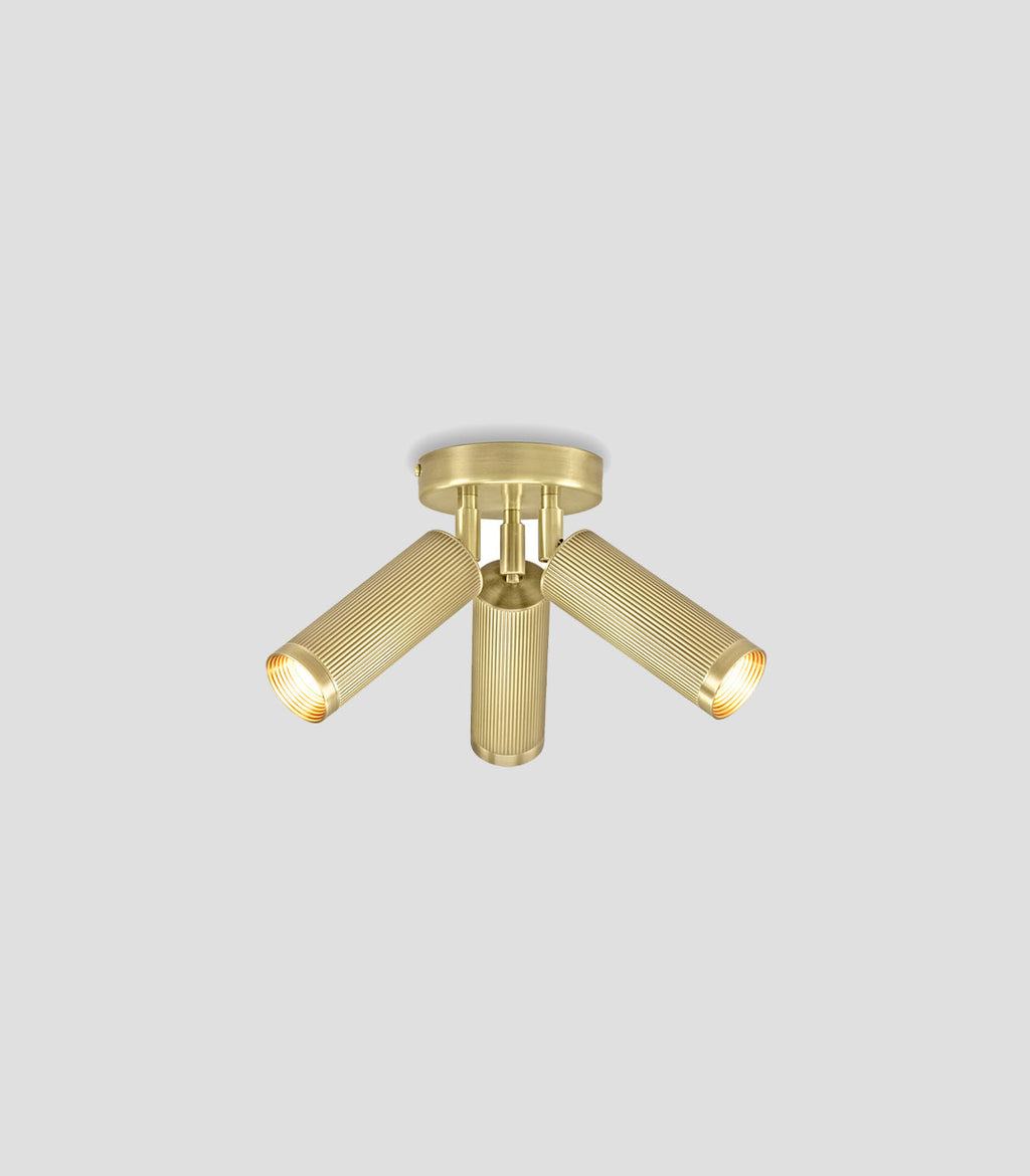 Spot Triple Ceiling Light