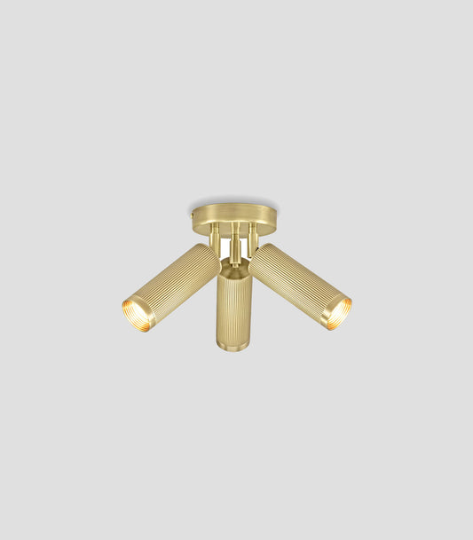 Spot Triple Ceiling Light