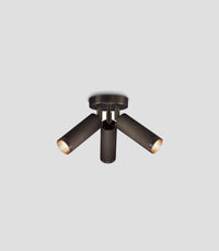 Spot Triple Ceiling Light