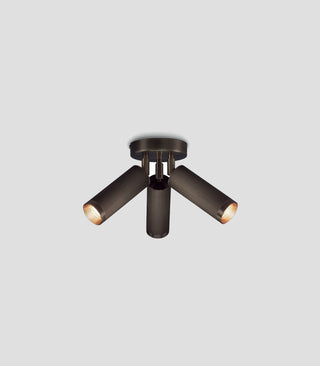 Spot Triple Ceiling Light