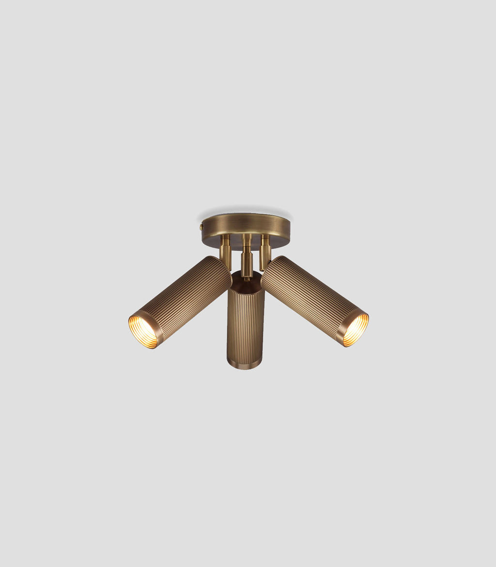 Spot Triple Ceiling Light