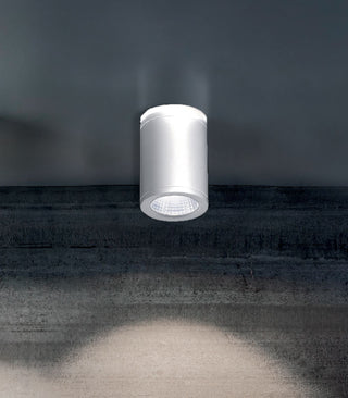 Sole Outdoor Ceiling Light