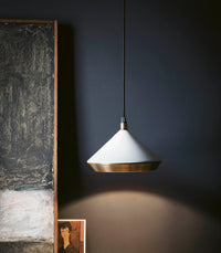 Shear Pendant Light