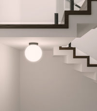 Asteroide Ceiling Light