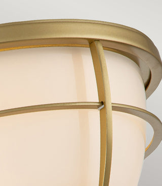 Chance & Guardian Ceiling Light