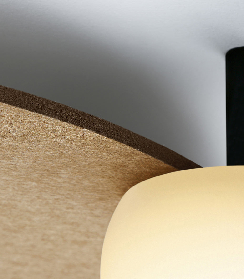 Circ 5lt Ceiling Light