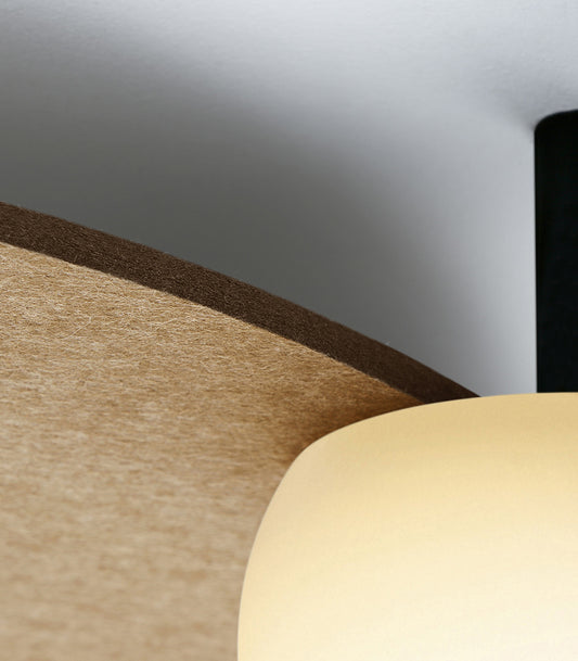 Circ 5lt Ceiling Light