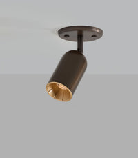 Doma Ceiling Light