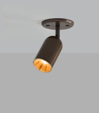 Doma Ceiling Light