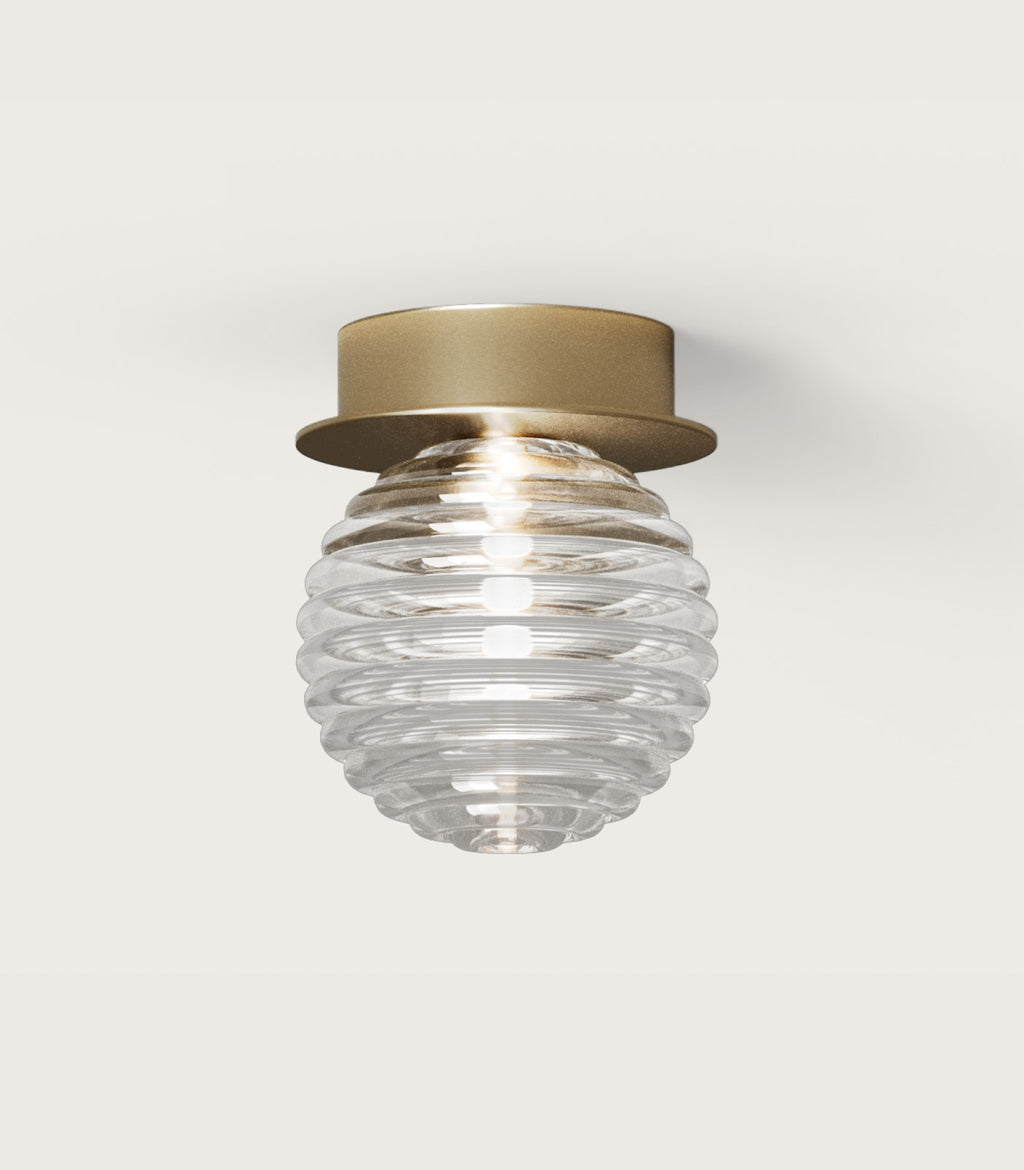 Doul Wall/Ceiling Light