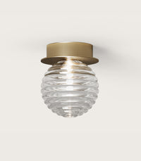 Doul Wall/Ceiling Light