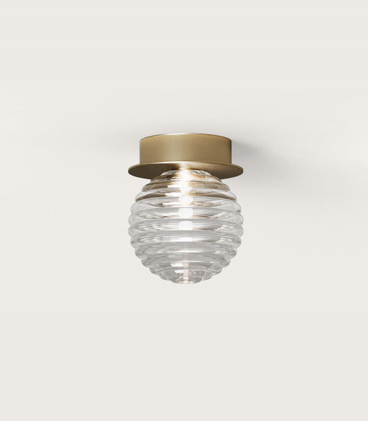 Doul Wall/Ceiling Light