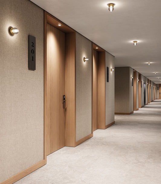 Doul Wall/Ceiling Light