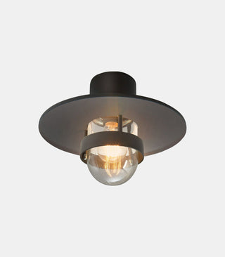 Bergen Ceiling Light