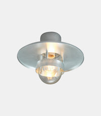 Bergen Ceiling Light