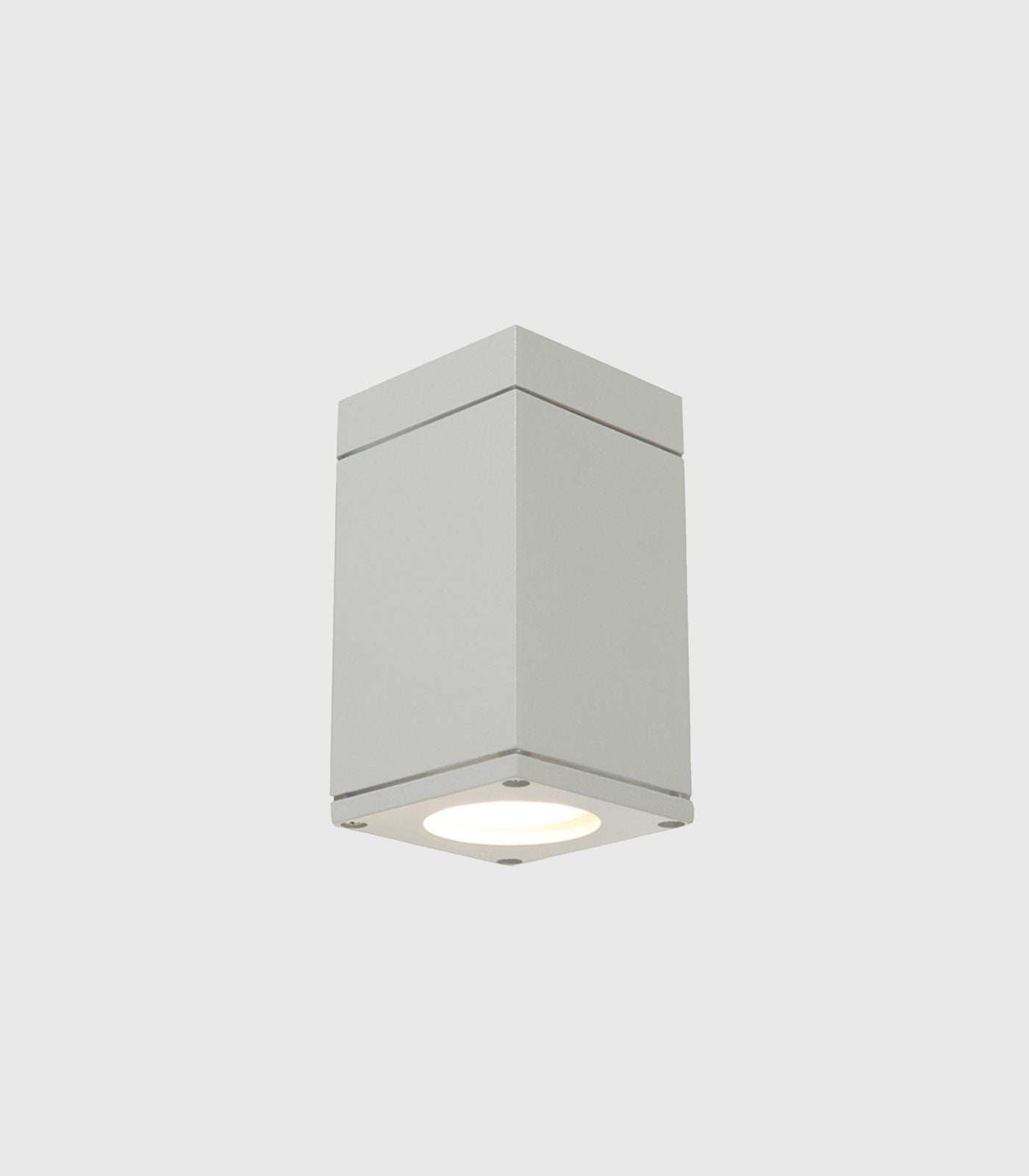 Sandvik Ceiling Light