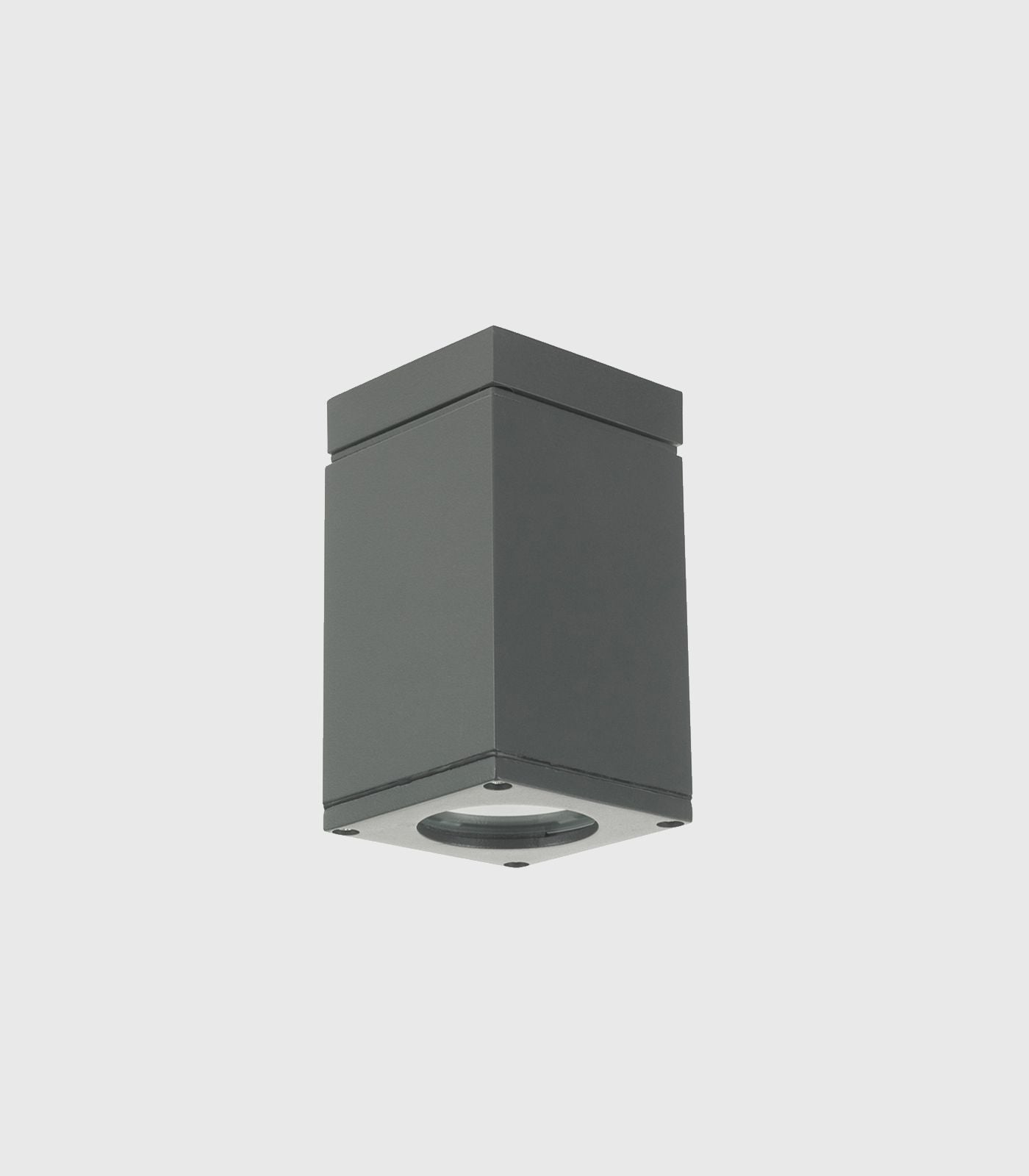 Sandvik Ceiling Light