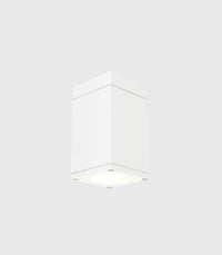 Sandvik Ceiling Light