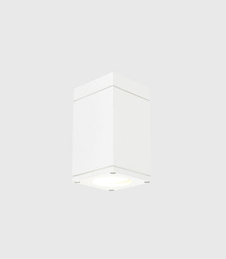 Sandvik Ceiling Light