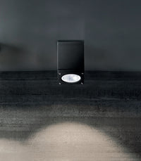 Sole Outdoor Ceiling Light