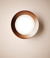 Maine Ceiling/Wall Light