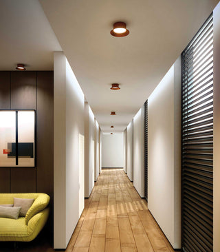 Maine Ceiling/Wall Light