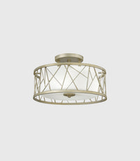 Nest Ceiling Light