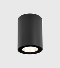 Nidaros Ceiling Light