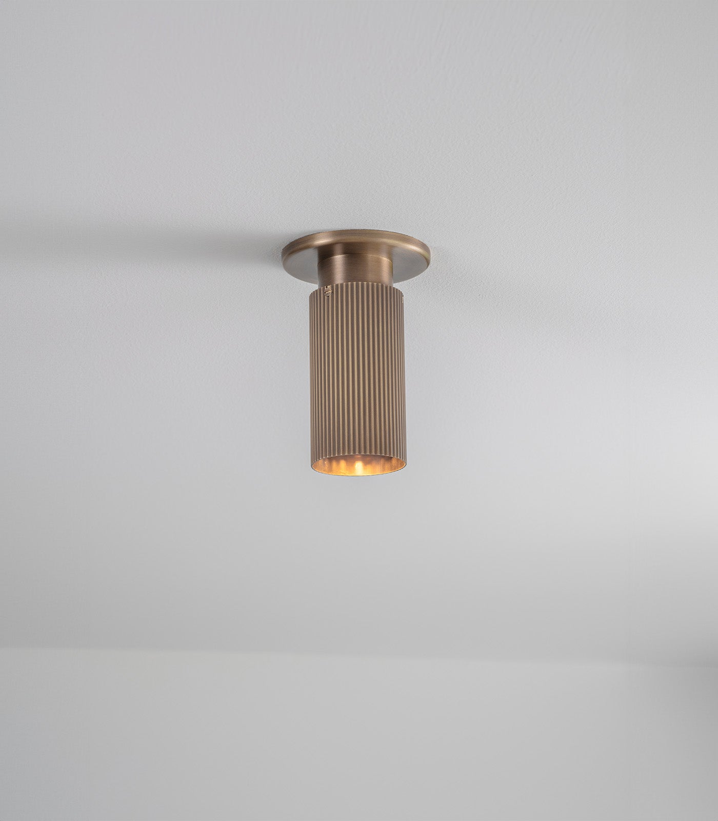 Spot Pro Mini Ceiling Light