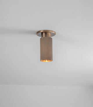Spot Pro Mini Ceiling Light