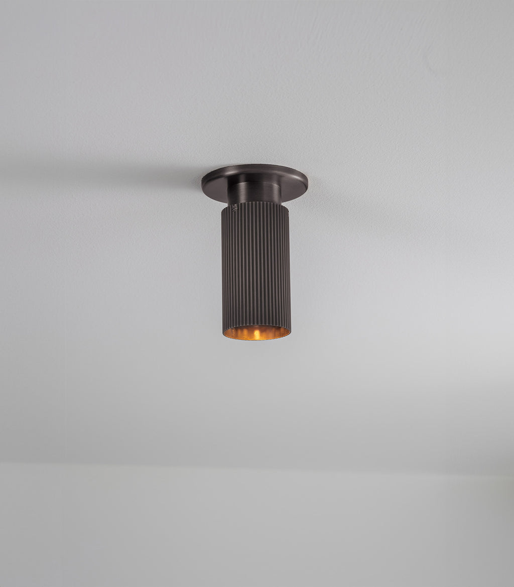 Spot Pro Mini Ceiling Light