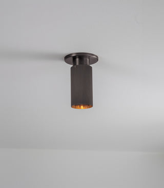 Spot Pro Mini Ceiling Light
