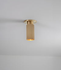 Spot Pro Mini Ceiling Light