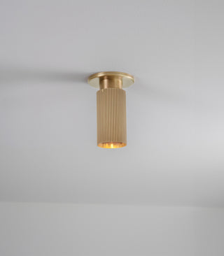 Spot Pro Mini Ceiling Light