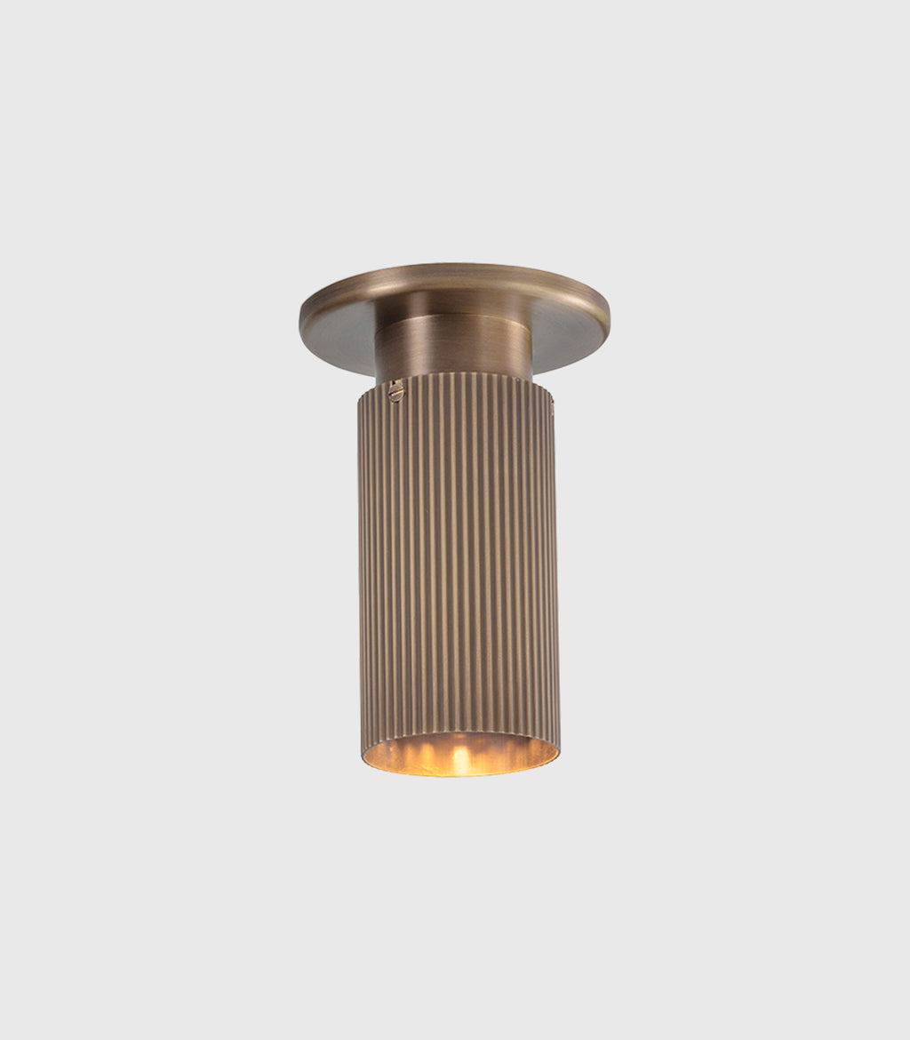 Spot Pro Mini Ceiling Light