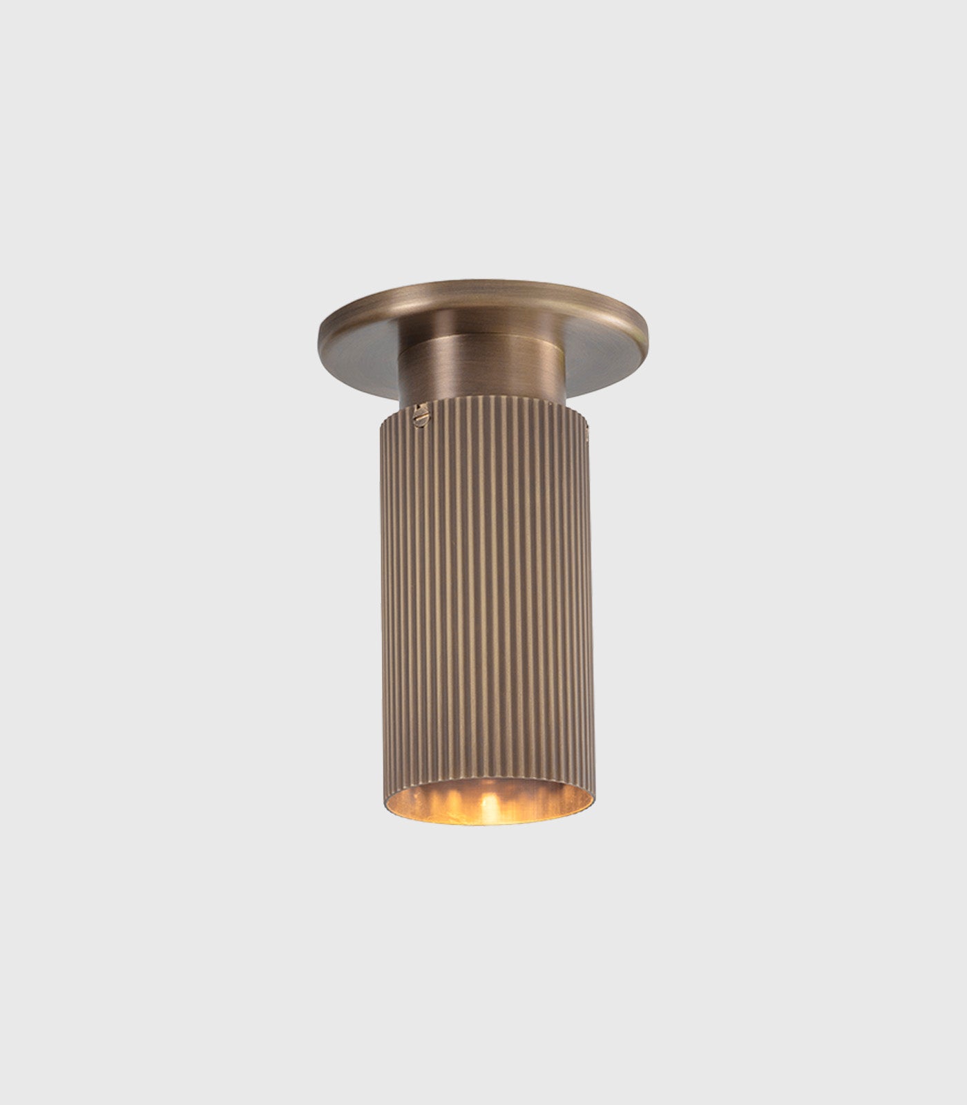 Spot Pro Mini Ceiling Light