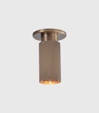 Spot Pro Mini Ceiling Light