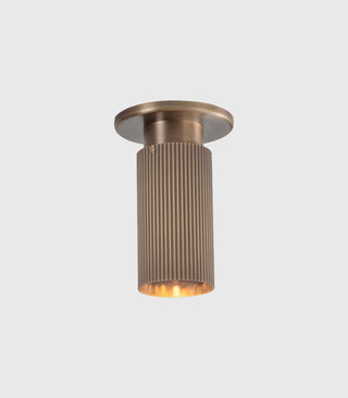 Spot Pro Mini Ceiling Light