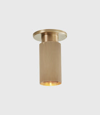 Spot Pro Mini Ceiling Light