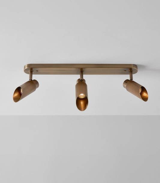 Spot Pro Triple Ceiling Light