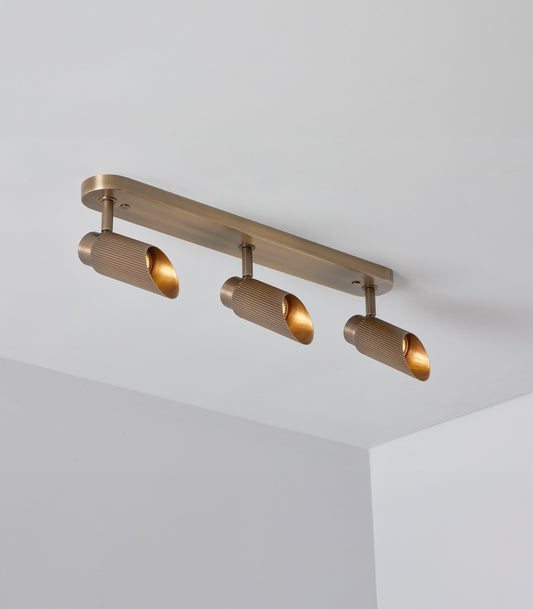 Spot Pro Triple Ceiling Light