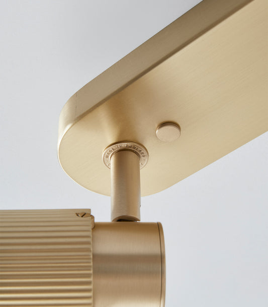 Spot Pro Triple Ceiling Light
