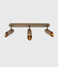 Spot Pro Triple Ceiling Light