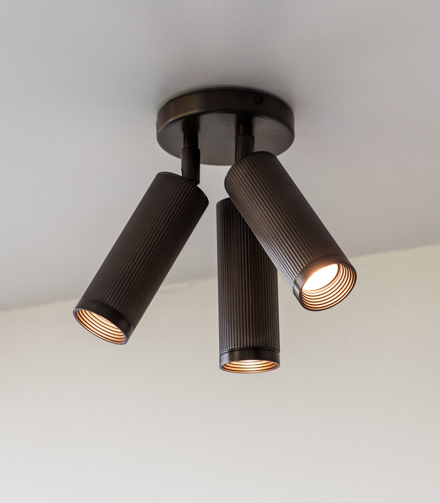 Spot Triple Ceiling Light