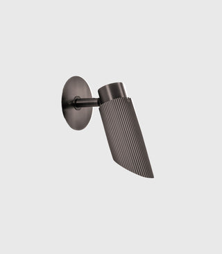 Spot Pro Adjustable Wall/Ceiling Light