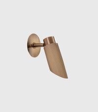 Spot Pro Adjustable Wall/Ceiling Light