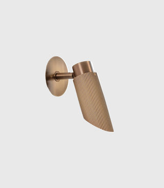 Spot Pro Adjustable Wall/Ceiling Light